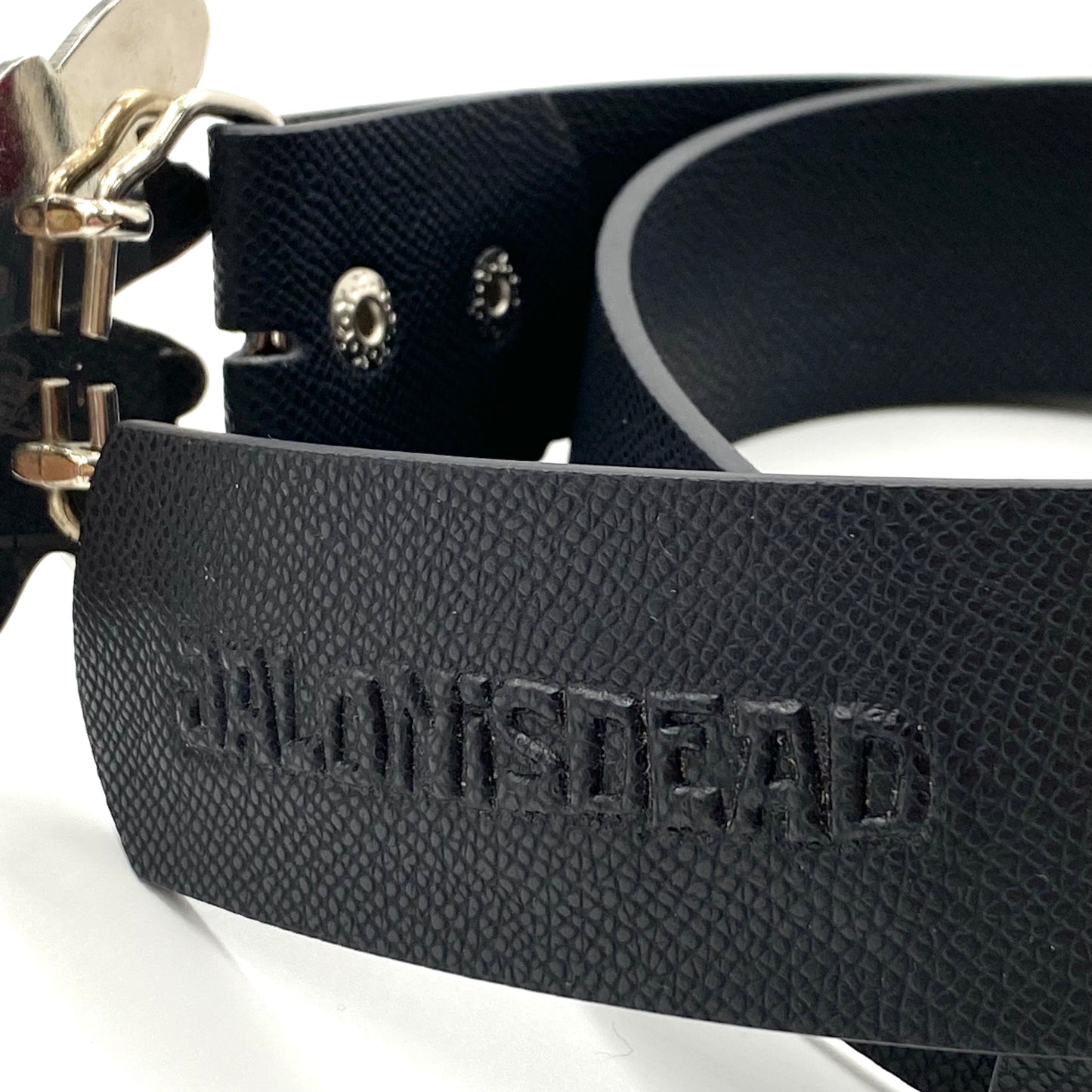 2022 jalonisdead plankton belt